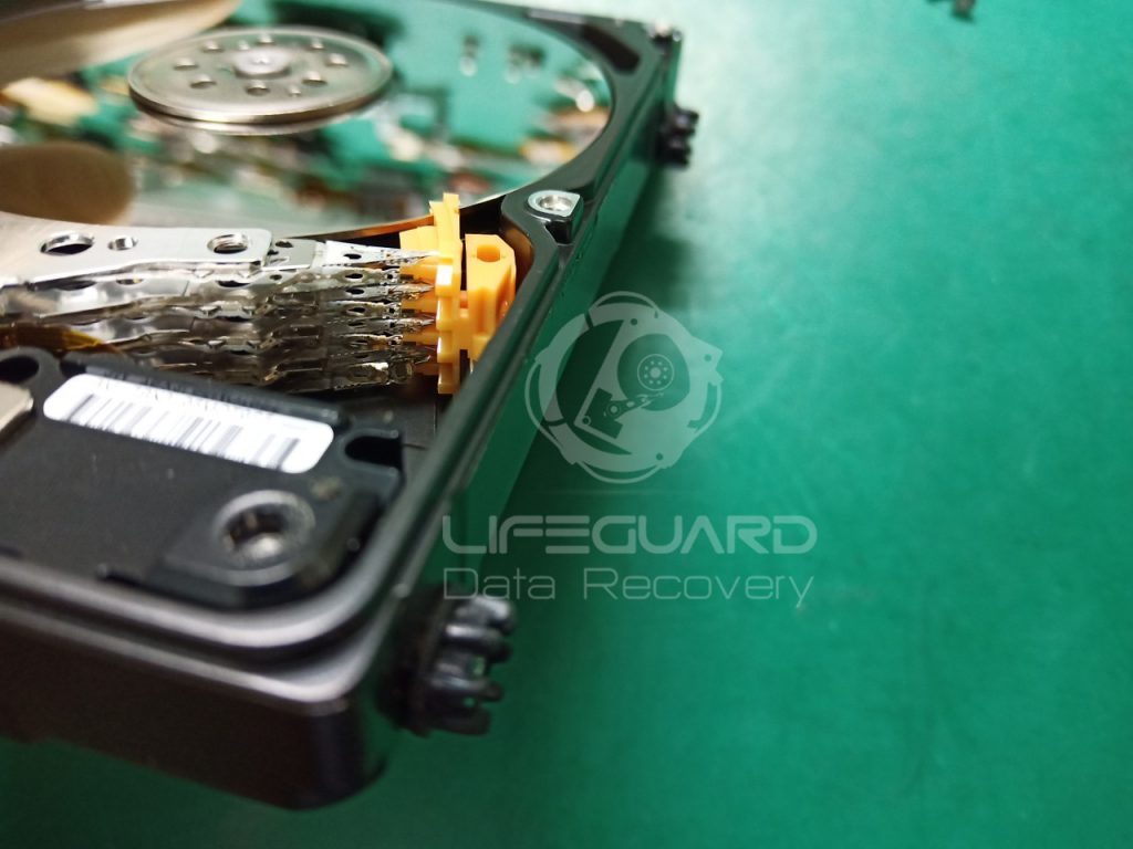 avoid-permanent-data-loss-by-checking-your-backups-regularly-jpg