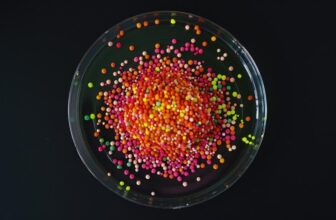 Protein A Magnetic Beads