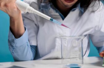 Western Blotting Protein