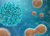 Microbial Fermentation — a Cost Effective Way to Obtain Peptides