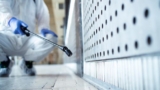 The Necessity of Commercial Pest Control Services – Protecting Your Business and Your Reputation