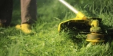Lawn Care Services Orlando Fl – Just Enhance Your Knowledge Now
