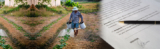 Agricultural Insurance Market – Size, Share, Growth, Trends, Key players & Forecast 2019 to 2025