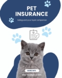 How Can You Protect Your Income and Health in Waterbury, CT? A Complete Insurance Guide