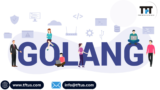 Everything You Need to Know Before Hiring a Golang Developer in 2024