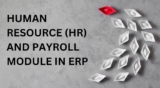Human Resource (HR) & Payroll Module in ERP