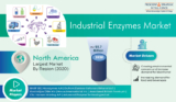 North America Dominated the Industrial Enzymes Market