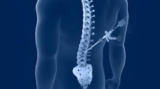 Minimally Invasive Spine Surgery India: Expert Care and Quick Recovery