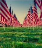 Empowering Veterans through the Arizona License Lookup Tool