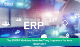 Top 15 ERP Modules: How Are They Important for Your Business?