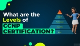 What are the Levels of CCNP Certification