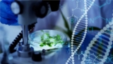 Peptides for Osteoporosis Research