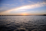 Why you must visit Tampa this season